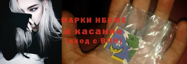 шишки Алексин
