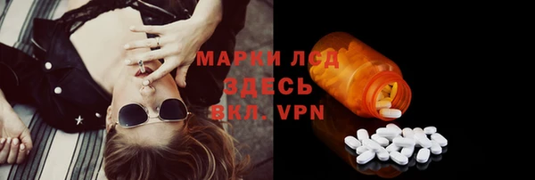 шишки Алексин
