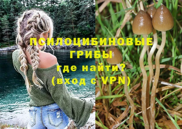 шишки Алексин