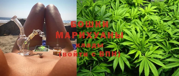 шишки Алексин