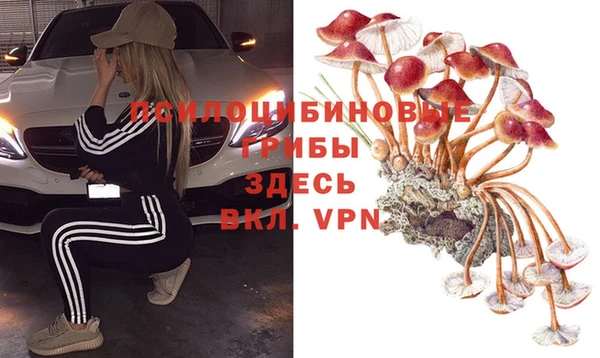 молекула духа Алзамай
