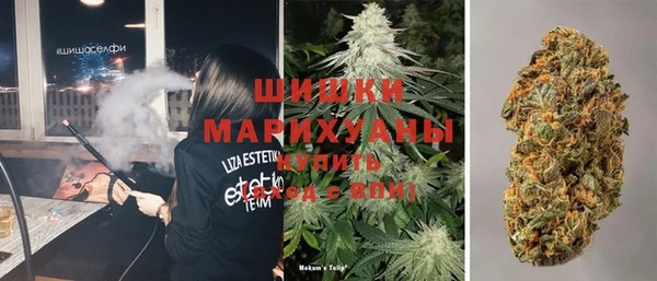 молекула духа Алзамай