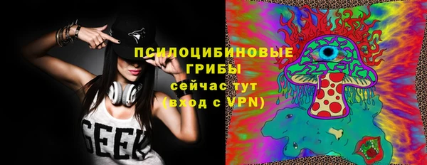 шишки Алексин