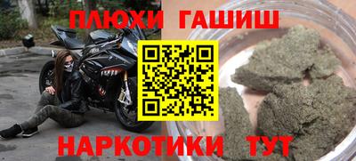 крисы Гатчина