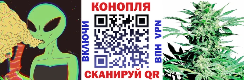 Бошки марихуана сатива Йошкар-Ола
